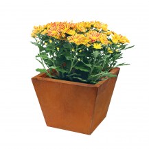 18483 - copa planter - with plants - 250x250x200